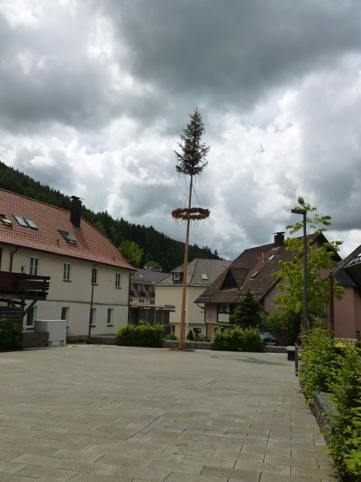 Gasthaus Waldhorn Bad Teinach-Zavelstein Exterior foto
